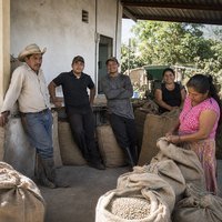 Cooperativa