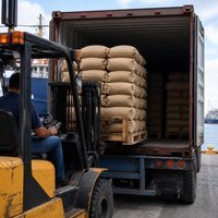 Exportación