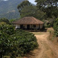 Finca