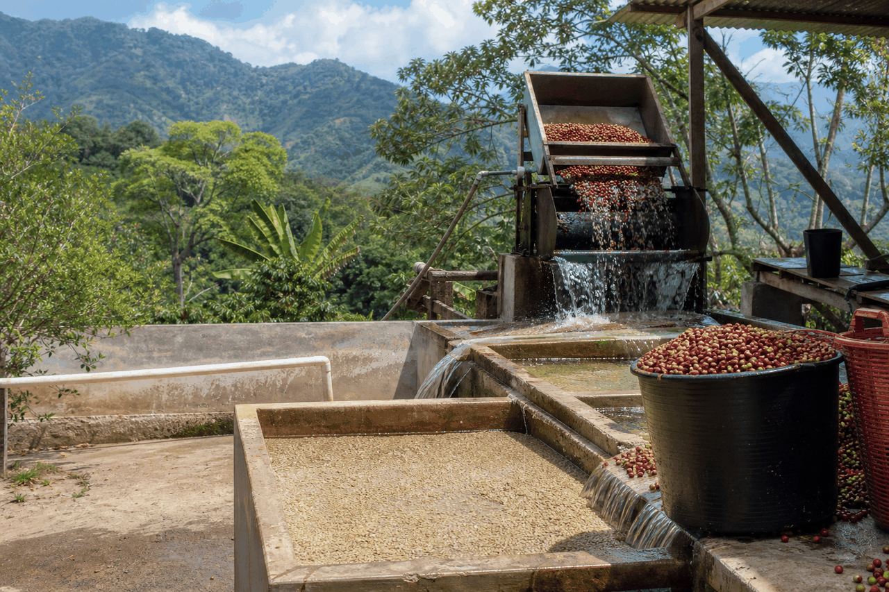 Vom Kaffeegarten zum eigenen Beneficio: Frauen, die im Trifinio Wert schaffen